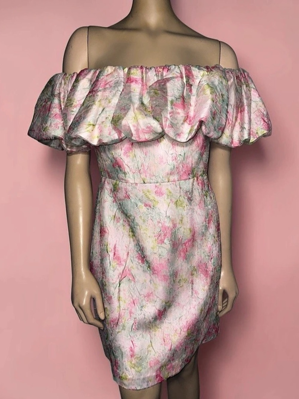 NWT Monique Lhuillier P women's floral Off-the-Shoulder Kara Mini Dress size 10